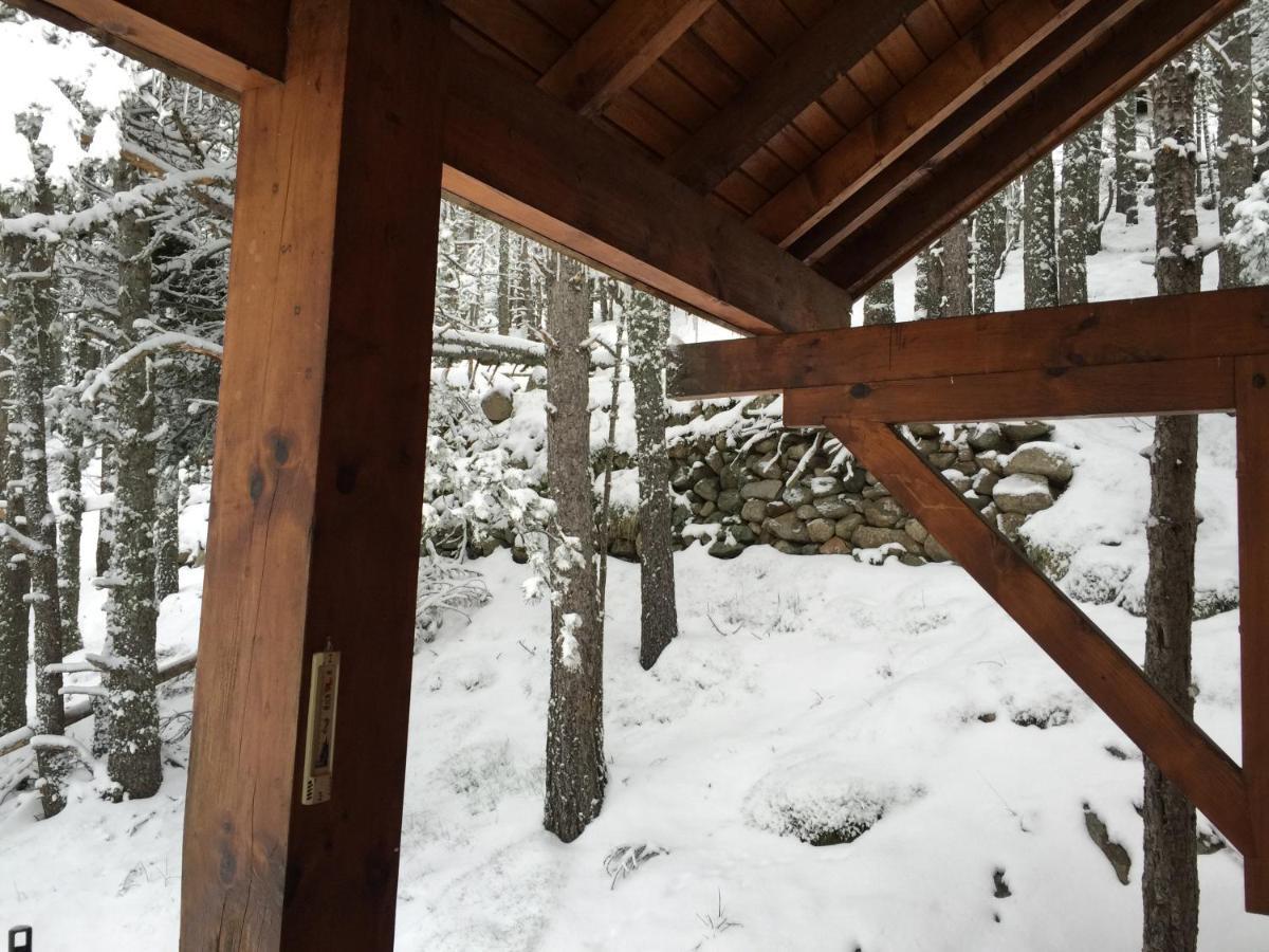 Vue Sous Cet Chalet