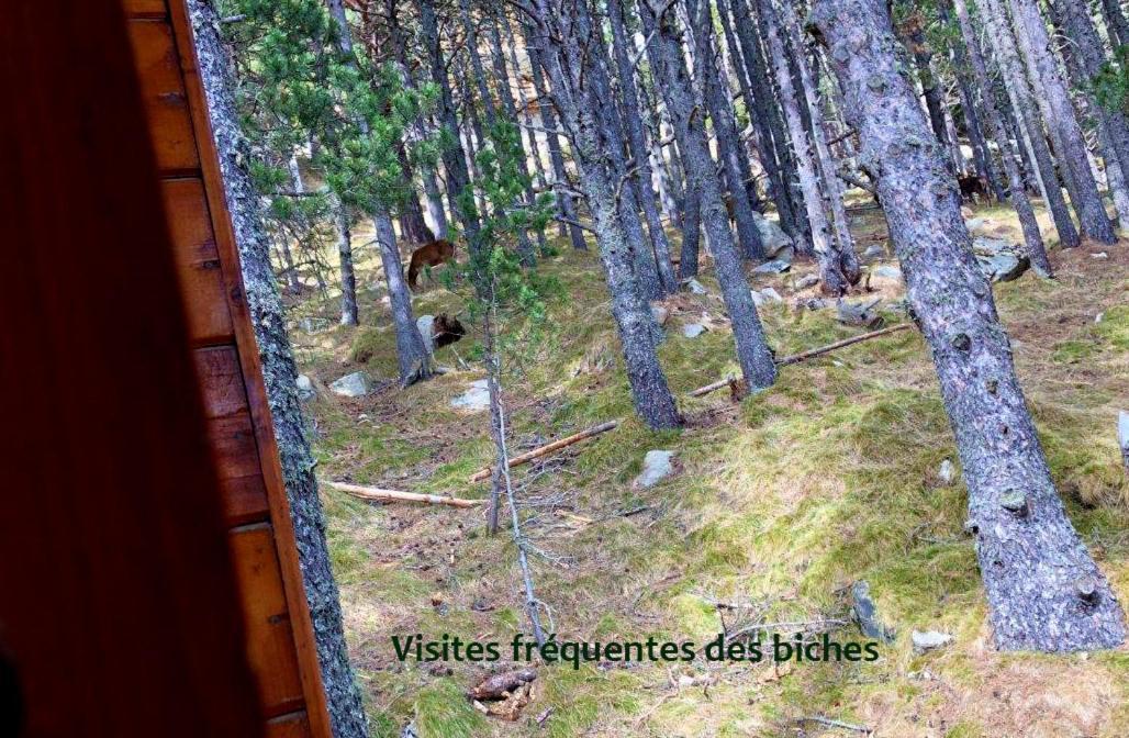 Vue Sous Cet *