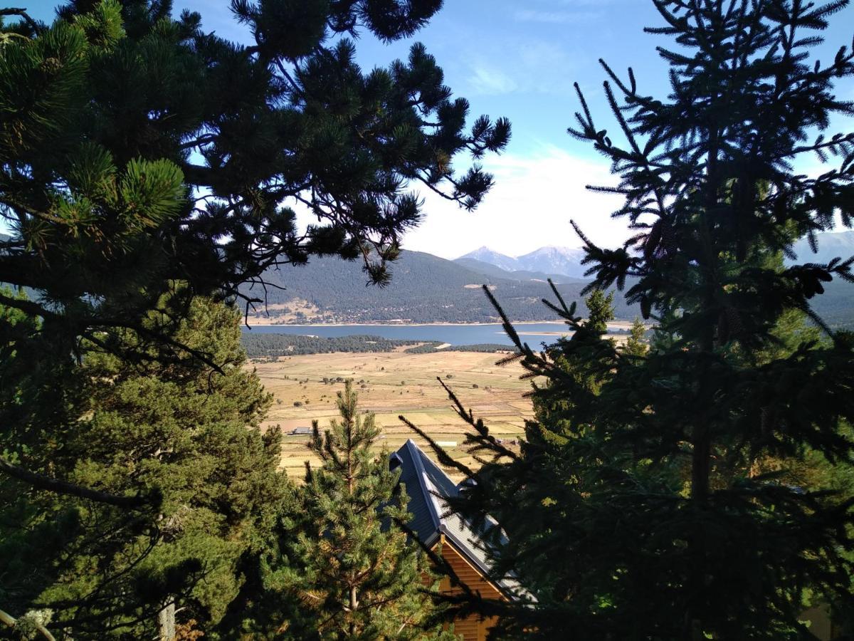 Vue Sous Cet Chalet